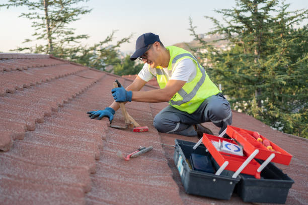 Best Residential Roofing Contractor  in St Jaco, IL